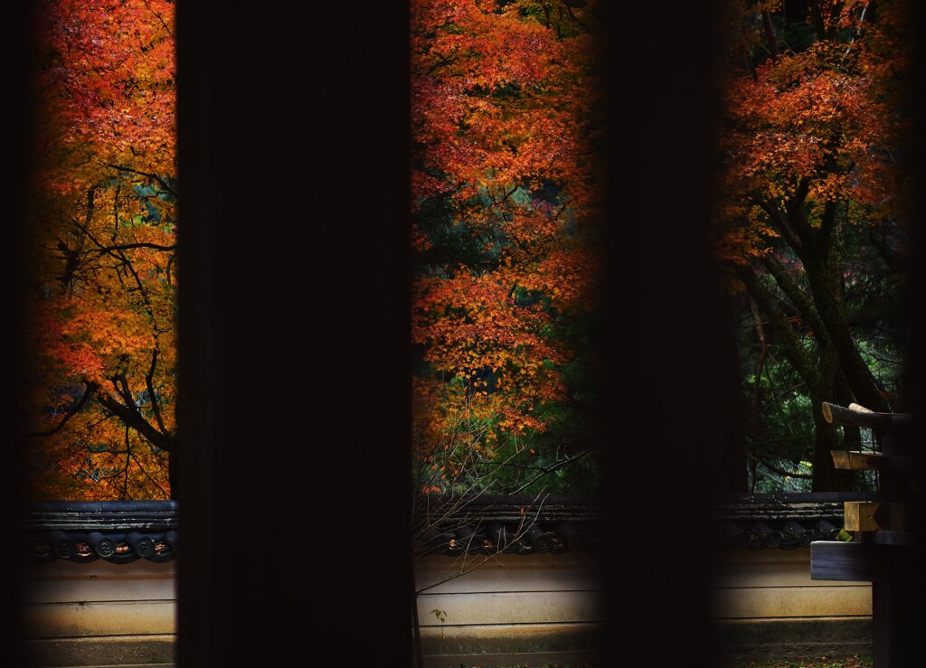 窓から秋匂