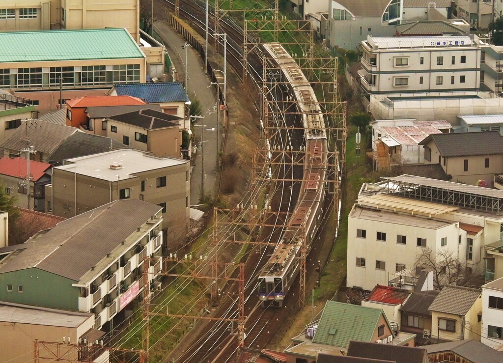 南海高野線