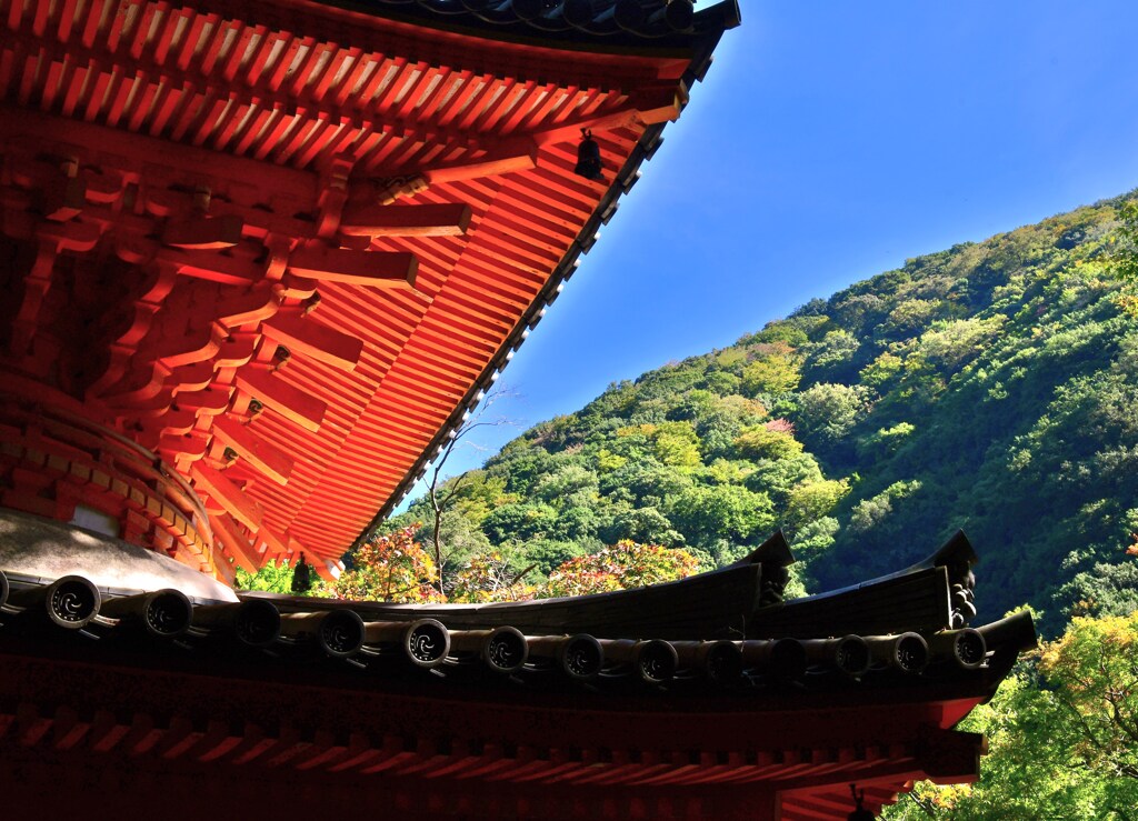 青鋭