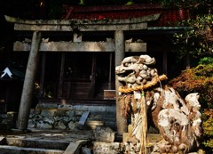 見守