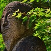 長老