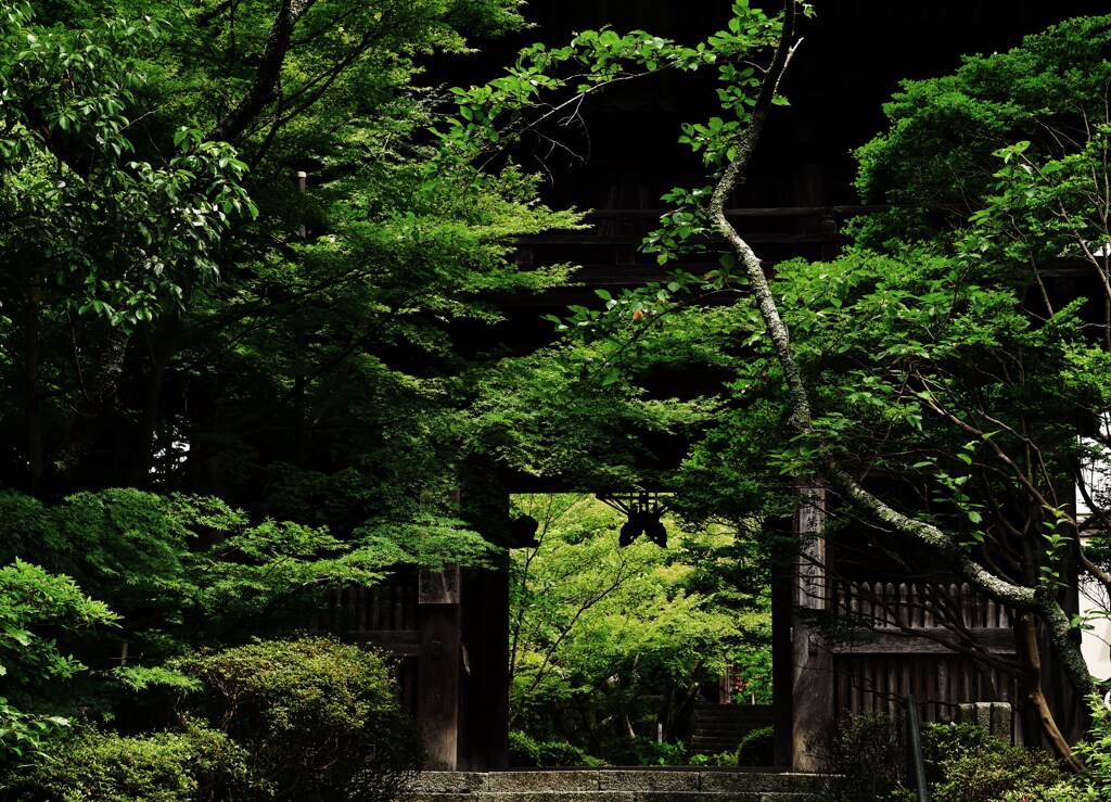 結界の緑