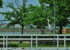 呟き