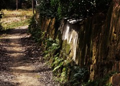 古道