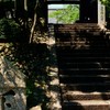 陽光