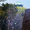 霧方
