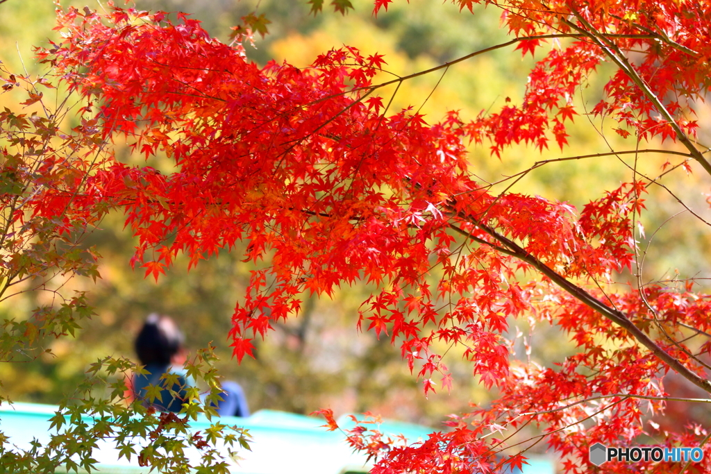 北山公園