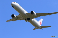 日本航空 Boeing 787-9 JA871J②