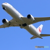 日本航空 Boeing 787-9 JA871J②