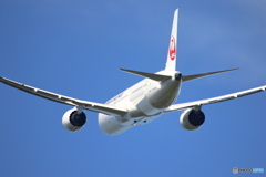 日本航空 Boeing 787-9 JA871J③