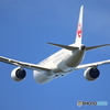 日本航空 Boeing 787-9 JA871J③