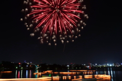 夜空のお供え花