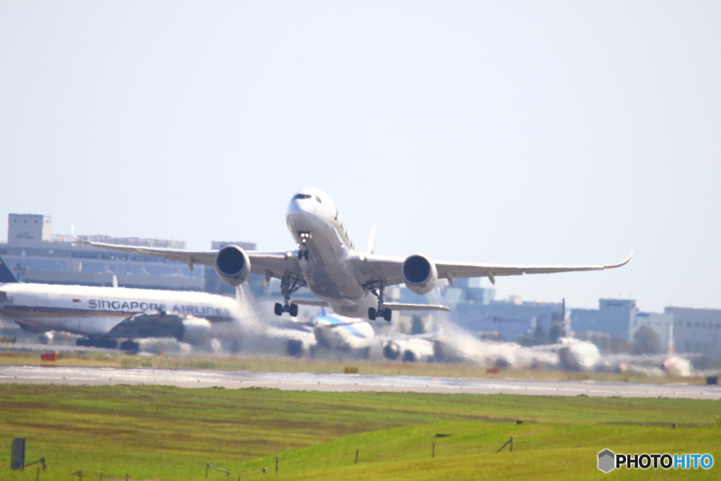 全日空 Boeing 787-8 Dreamliner JA806A