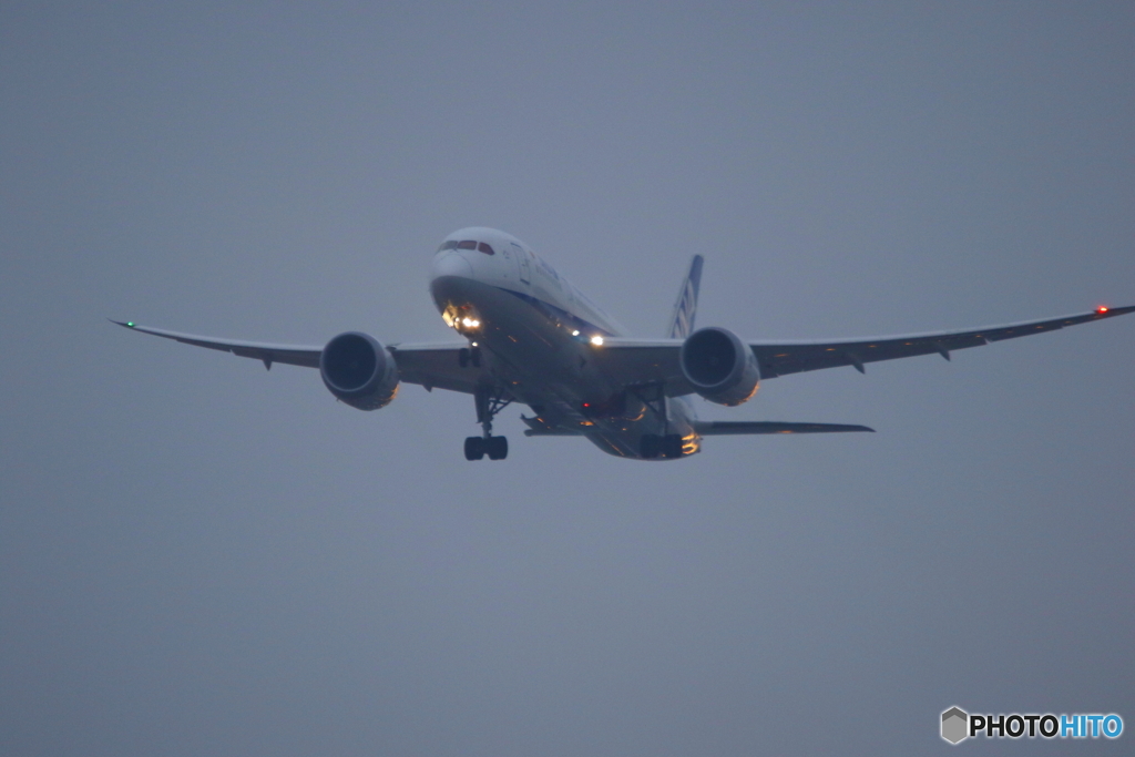 全日空 Boeing 787-8 Dreamliner JA835A①