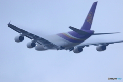 タイ国際航空 Airbus A380-841 HS-TUF②