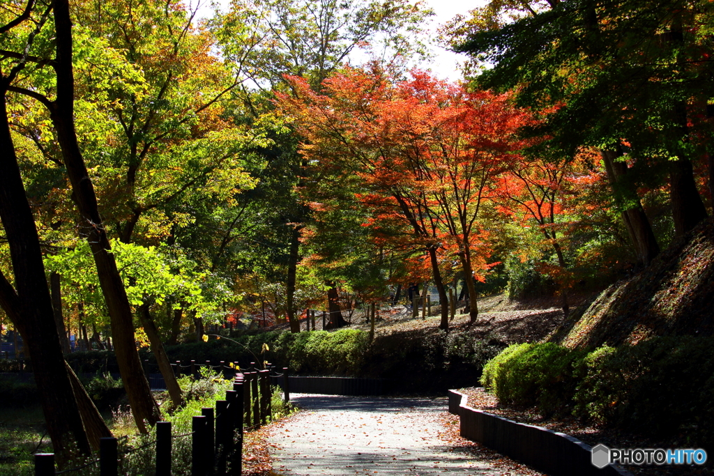 北山公園