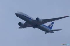 全日空 Boeing 787-8 Dreamliner JA835A②