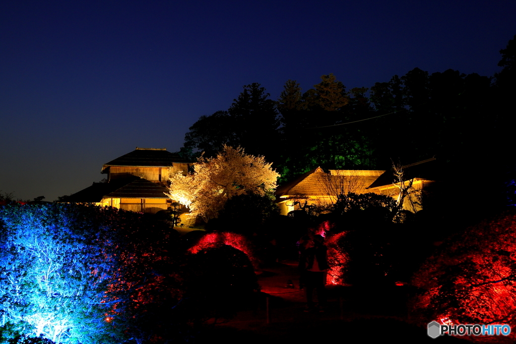 チームラボ偕楽園光の祭