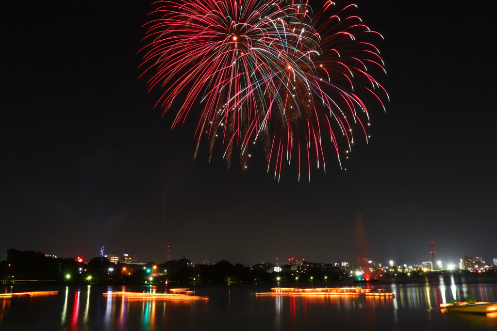 夜空のお供え花