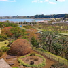 好文亭からの風景