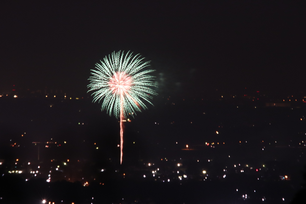 夜空に咲いた花を見つけた～