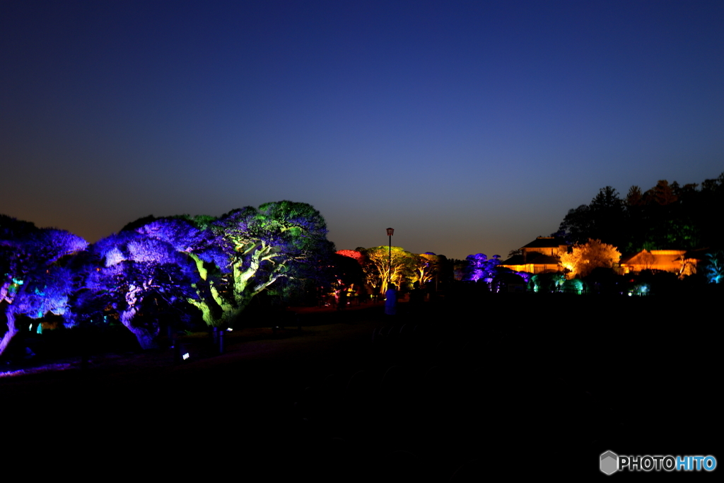 チームラボ偕楽園光の祭