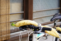 ちょいとごめんよ～
