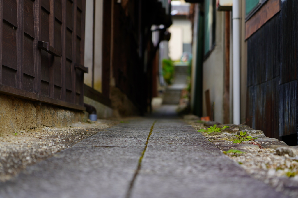 ちょっと路地へ