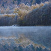 冬の朝　大正池