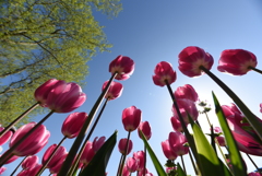 令和の青空に向けて