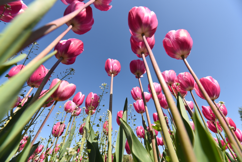 ＧＷのひととき