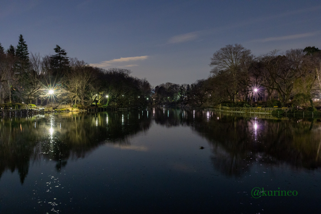 夜の公園