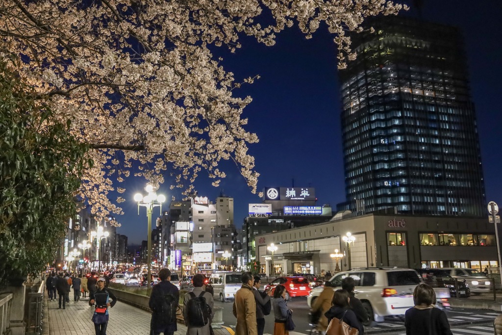 駅前、桜