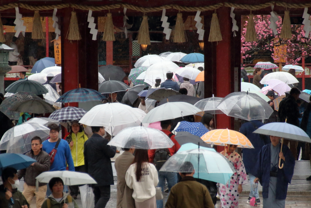 雨の参拝