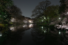 夜の公園