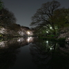 夜の公園