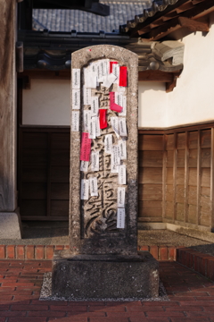 IMGP8920