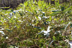 IMGP0430