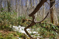 IMGP0436