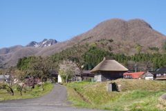 IMGP0487