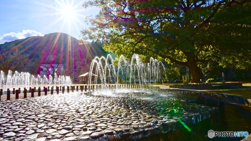 夏の遊び場