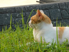 27411101-663C-41A1-B34B-2E47F722A2B1