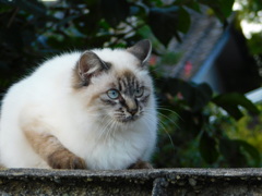 0C72A129-5D89-4E11-9E6D-6E5C5B408083