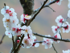 A308A1B7-EA08-4AE6-9786-C283AE9B5405