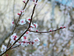 D88F1694-88F0-4530-AD34-A71E655599F0