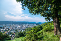 秩父羊山公園