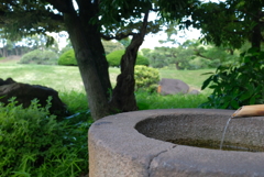 清澄庭園