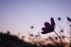 66AB8B45-0C27-4B47-BAAB-AD40DFD24ECE