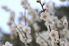 迫り来る受験生活