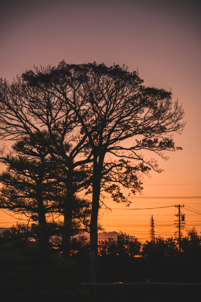 夕陽